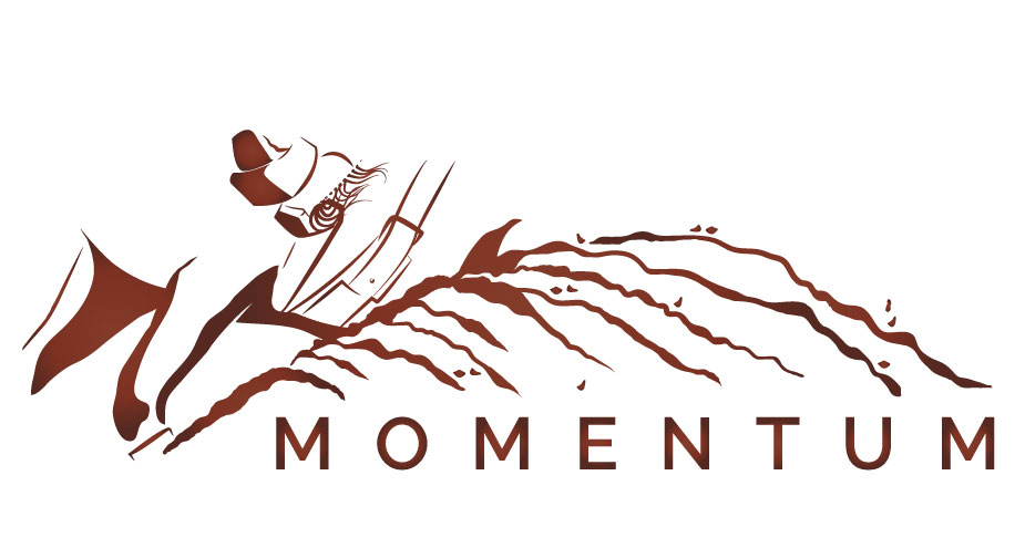 momentum logo